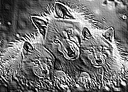 Skamielina