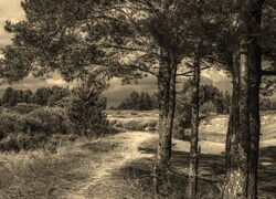 Sepia