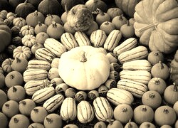 Szary + Sepia