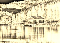 Sepia + Negatyw