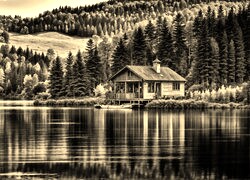 Sepia