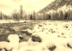 Sepia