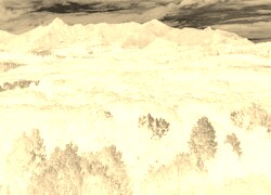 Sepia + Negatyw