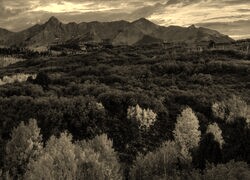 Sepia