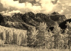 Sepia