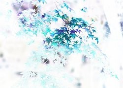Negatyw
