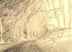 Sepia + Negatyw