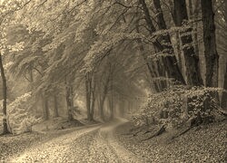 Sepia