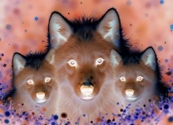 Negatyw