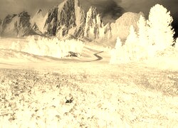 Sepia + Negatyw