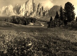 Szary + Sepia