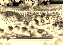 Sepia + Negatyw