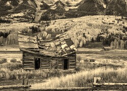 Szary + Sepia