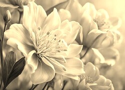 Sepia
