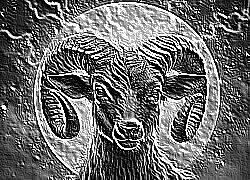 Skamielina