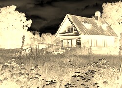 Sepia + Negatyw