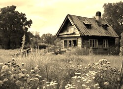 Sepia