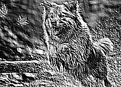 Skamielina