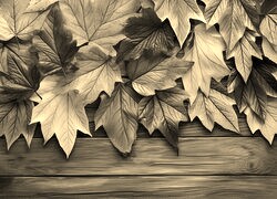Szary + Sepia
