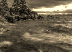 Sepia