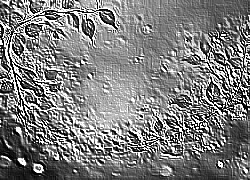 Skamielina