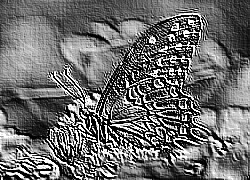 Skamielina