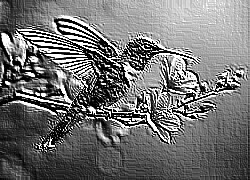 Skamielina