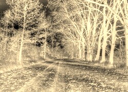 Sepia + Negatyw