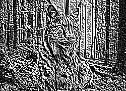 Skamielina