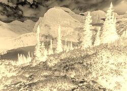 Sepia + Negatyw