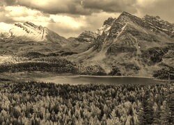 Szary + Sepia