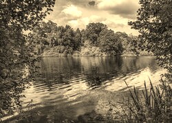 Szary + Sepia