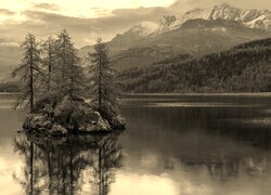 Szary + Sepia