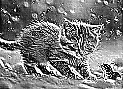 Skamielina