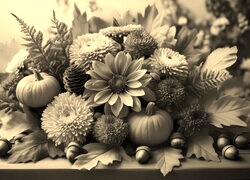 Szary + Sepia
