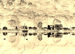 Sepia + Negatyw