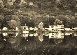 Sepia