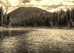 Szary + Sepia