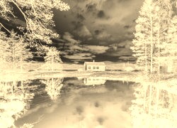 Sepia + Negatyw