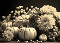Szary + Sepia