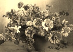Szary + Sepia