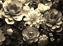 Szary + Sepia