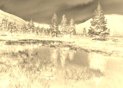 Sepia + Negatyw