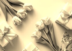 Szary + Sepia