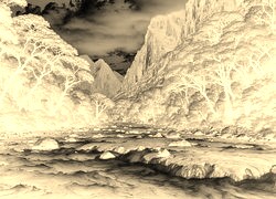 Sepia + Negatyw