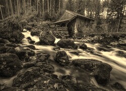 Szary + Sepia
