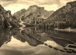 Szary + Sepia
