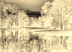 Sepia + Negatyw