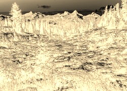 Sepia + Negatyw