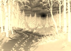 Sepia + Negatyw